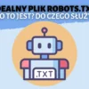 co to jest robots txt do czego sluzy