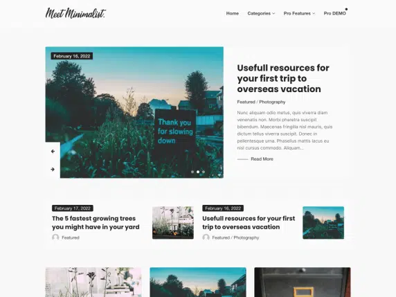 idealny-szablon-wordpress