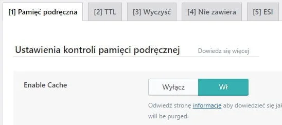 pierwsze-uruchomienie-litespeed-cache