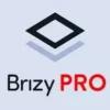 Brizy Pro zaawansowany kreator stron wirdpress
