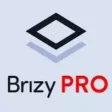 Brizy Pro 2.6.2 kreator stron WordPress