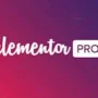 elementor pro darmowa aktualizacja wtyczki wordpress