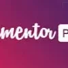 elementor pro darmowa aktualizac