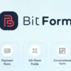 Bit Form Pro formularz kontaktowy wordpress
