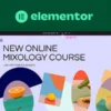 Elementor Pro nulled WordPress