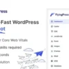 FlyingPress popraw szybkosc wordpress