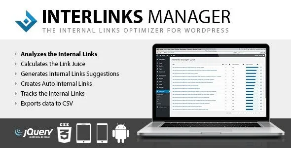 Interlinks Manager 1.41 optymalizacja linków wewnętrznych